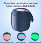 Enceinte Sans Fil Portable