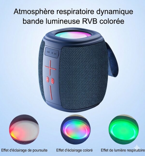 Enceinte Sans Fil Portable