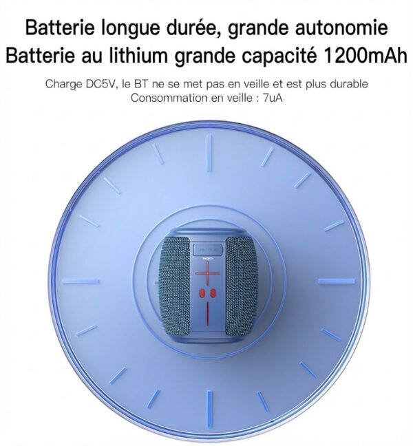 Enceinte Sans Fil Portable