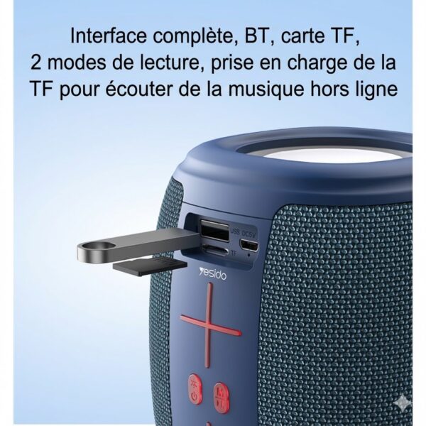 Enceinte Sans Fil Portable